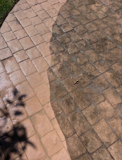 Before-and-after contrast across curved outdoor pavers during cleaning
